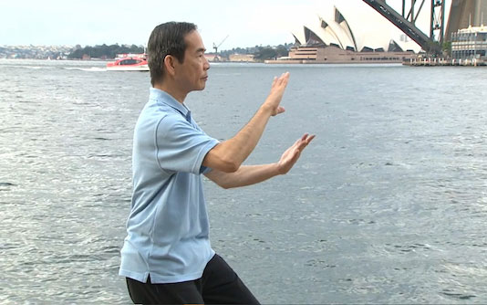 A man is practicing Tai Chi by the water, overlooking the Sydney Opera House