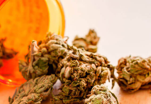 Kentucky Medical Cannabis Card