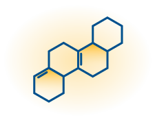 honey bee icon