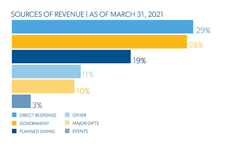 This picture shows the percentage of each source of revenue as at March 2021