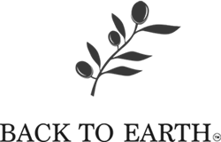 Logo Back to Earth