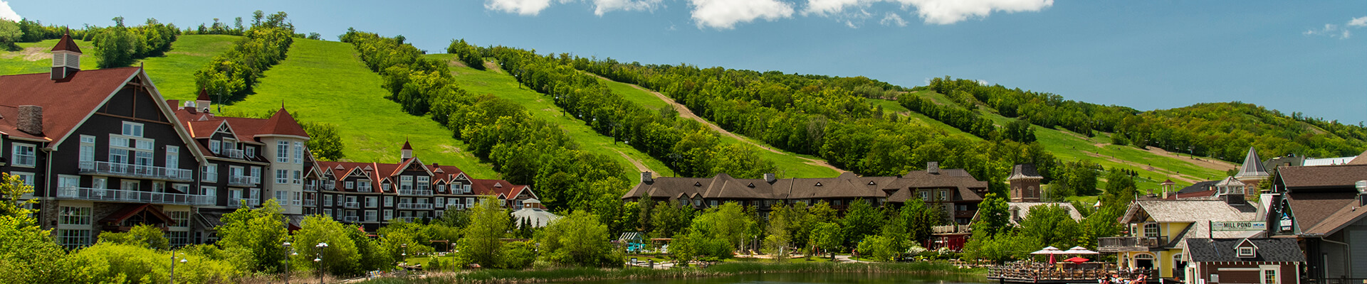 Blue Mountain