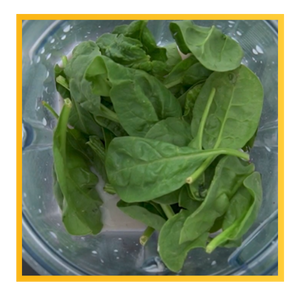 spinach in blender